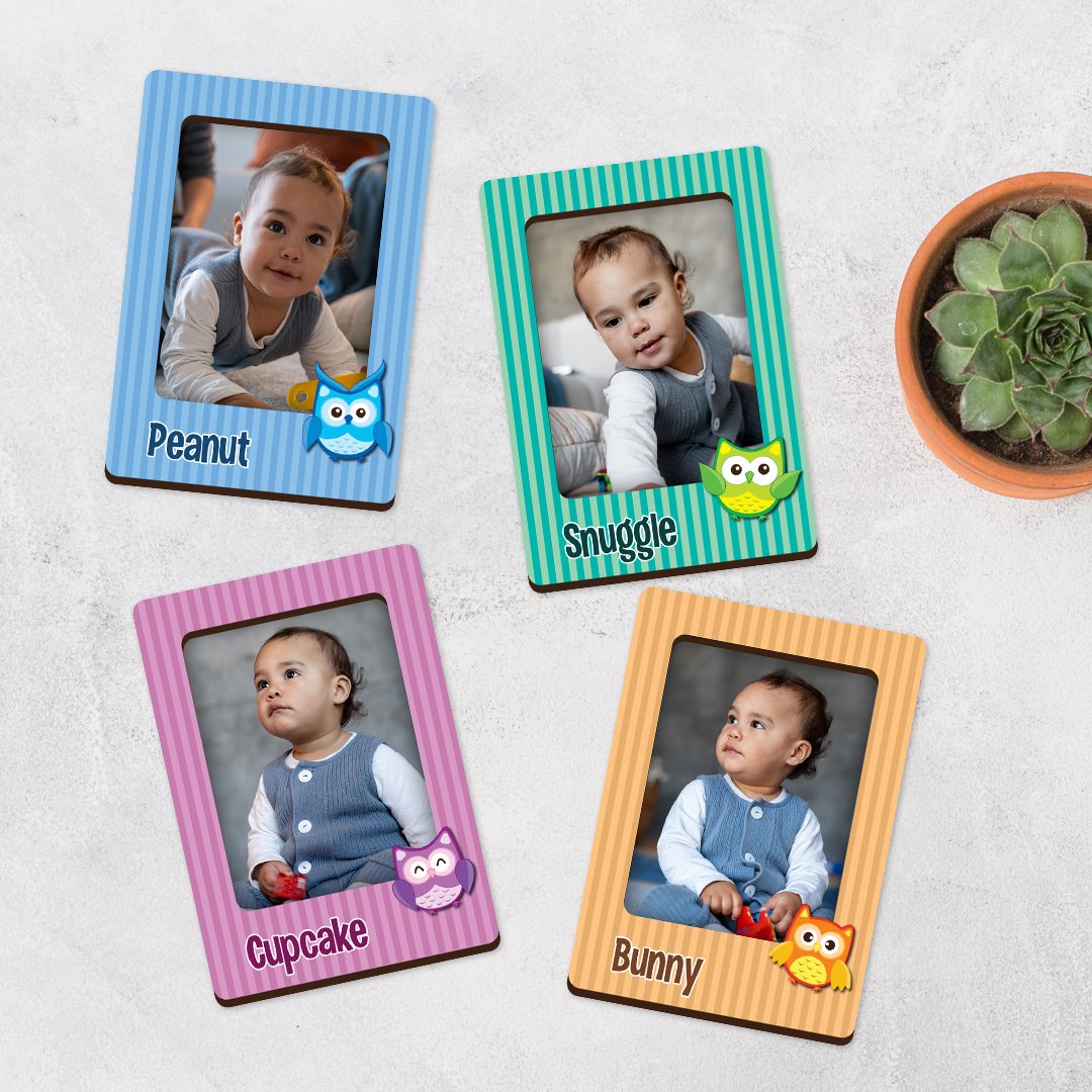 Night Owl 1 wooden customized changeable photo fridge magnets